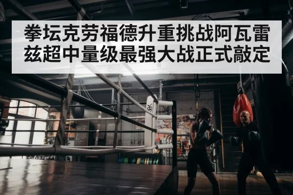 boxer training